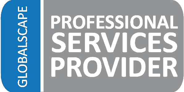  Professional Services 